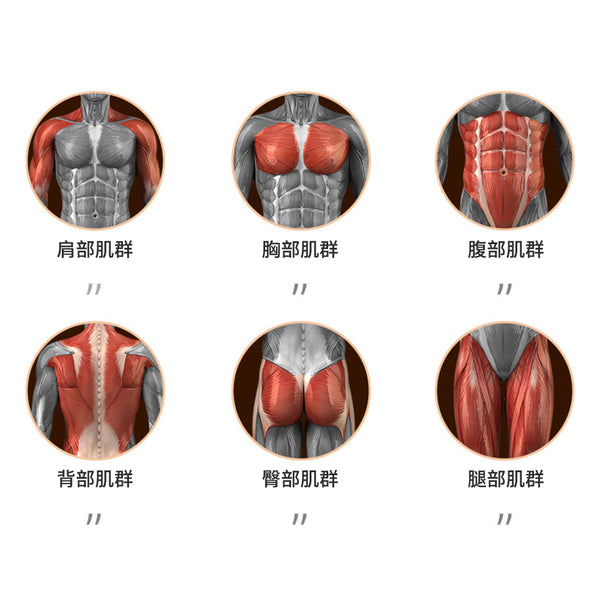 ONETWOFIT - ET017601 平板健腹輪